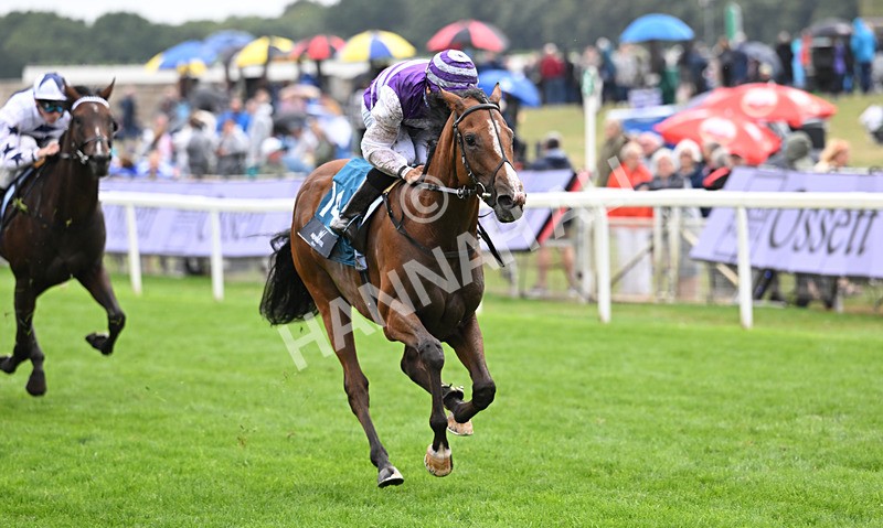 200826-162 Mia Fantasia - Race 6 16.45pm Mews Hotel Ossett EBF Stallions Nursery Handicap
