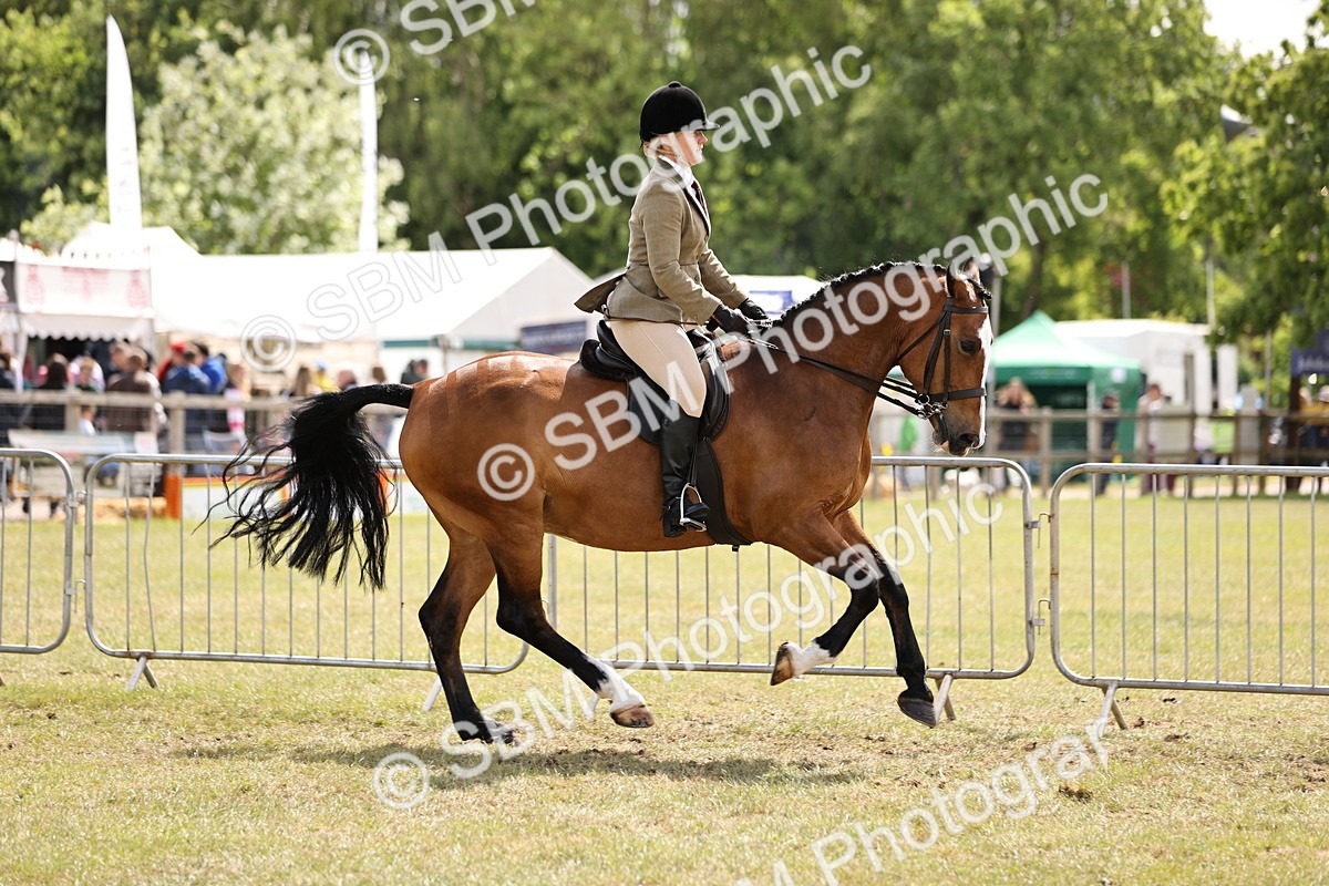 SBM_14525 - Class 88-89 - LIHS BSHA Rising Star of Ridden Hunter Type