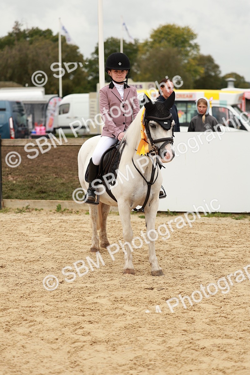 SBM_58094 - J11 - Junior Pony 50cm Championship