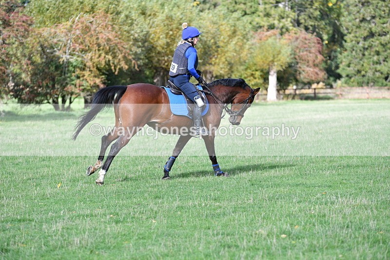 WJ5_7955 - Time 10:31 to 12:01