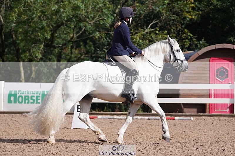 240809A-093322-00274 - Dressage Competition