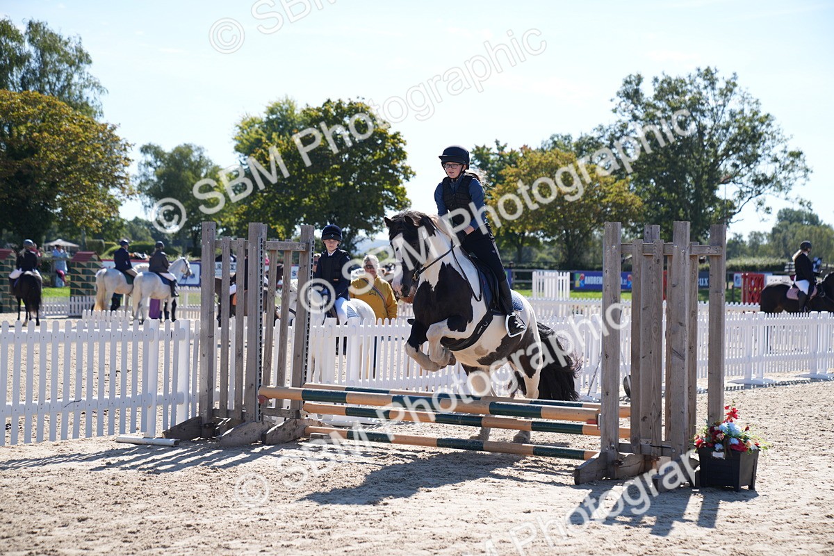 SBM_19410 - J57 - Clear Round 50cm