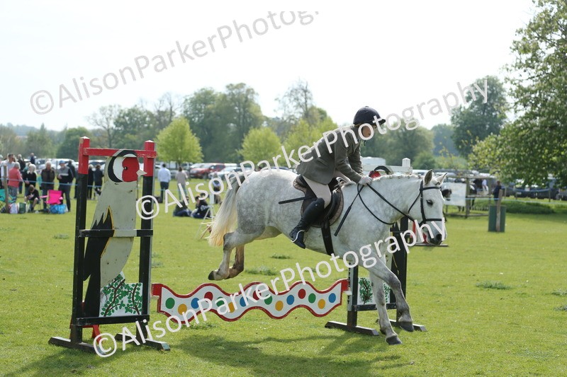 20260426-1638 - Class 14 - Novice 60cm