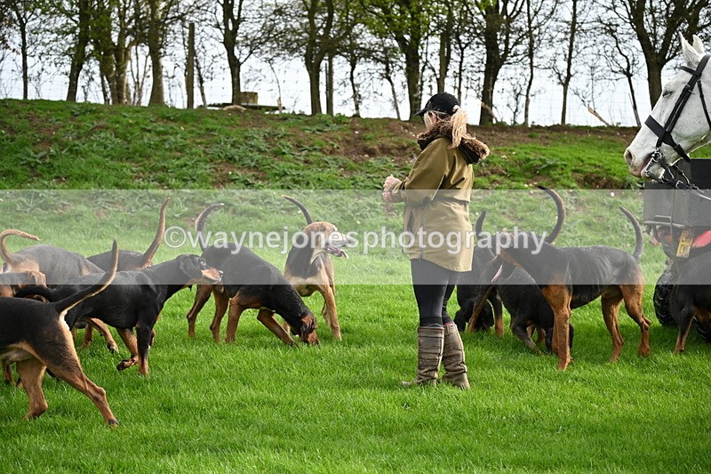 WJ6_9191 - Line Three