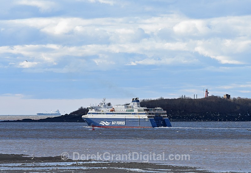 Fundy Rose Partridge Island Saint John New Brunswick Canada =