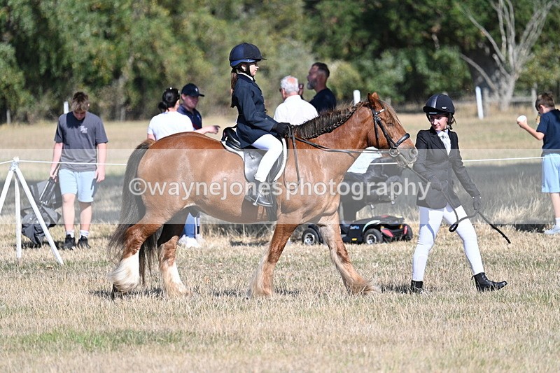 WJ7_3130 - Class 8 Ridden Tack & Turnout