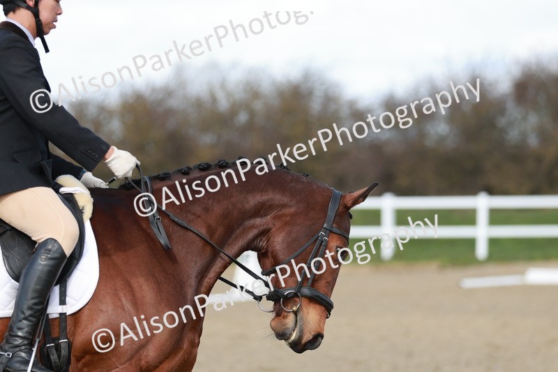 20260314-2981 - DR3 - Prelim 1