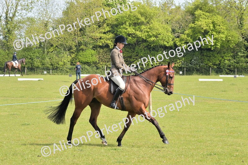 20260426-1120 - Class 19 - Retraining Of Racehorses