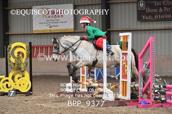 BPP_9377 - CLASS 5 60CM Progressive Show Jumping