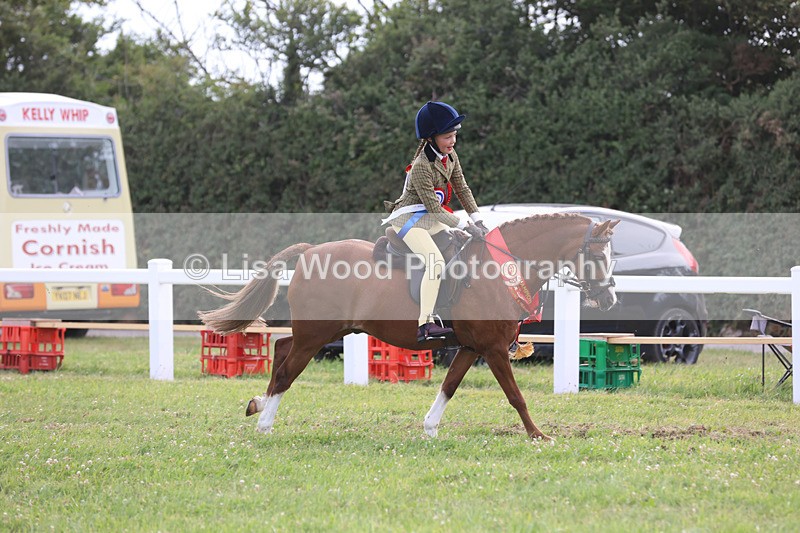 JPP_4823 - Working Hunter Championship