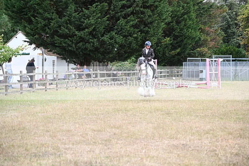 WJ6_9622 - Class 12 Minimus Jumping 45cm