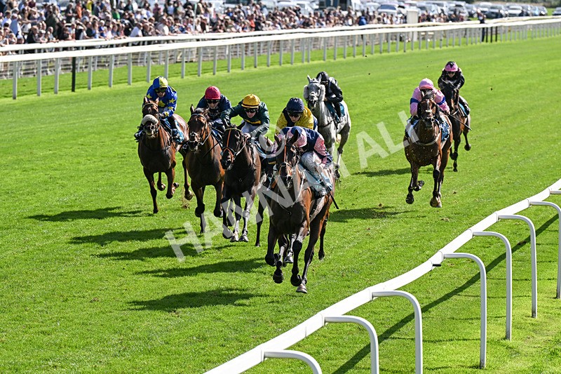 060926-Race 3-Moon Chime-0195 - Race 3 2.40pm Hanson Springs Stayers Handicap