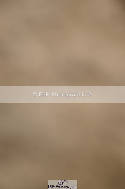 250719A-161248-08127 - Saturday Presentations