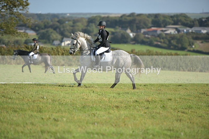 RAY_7390 - Class 2B: Trekenning Open: Dressage