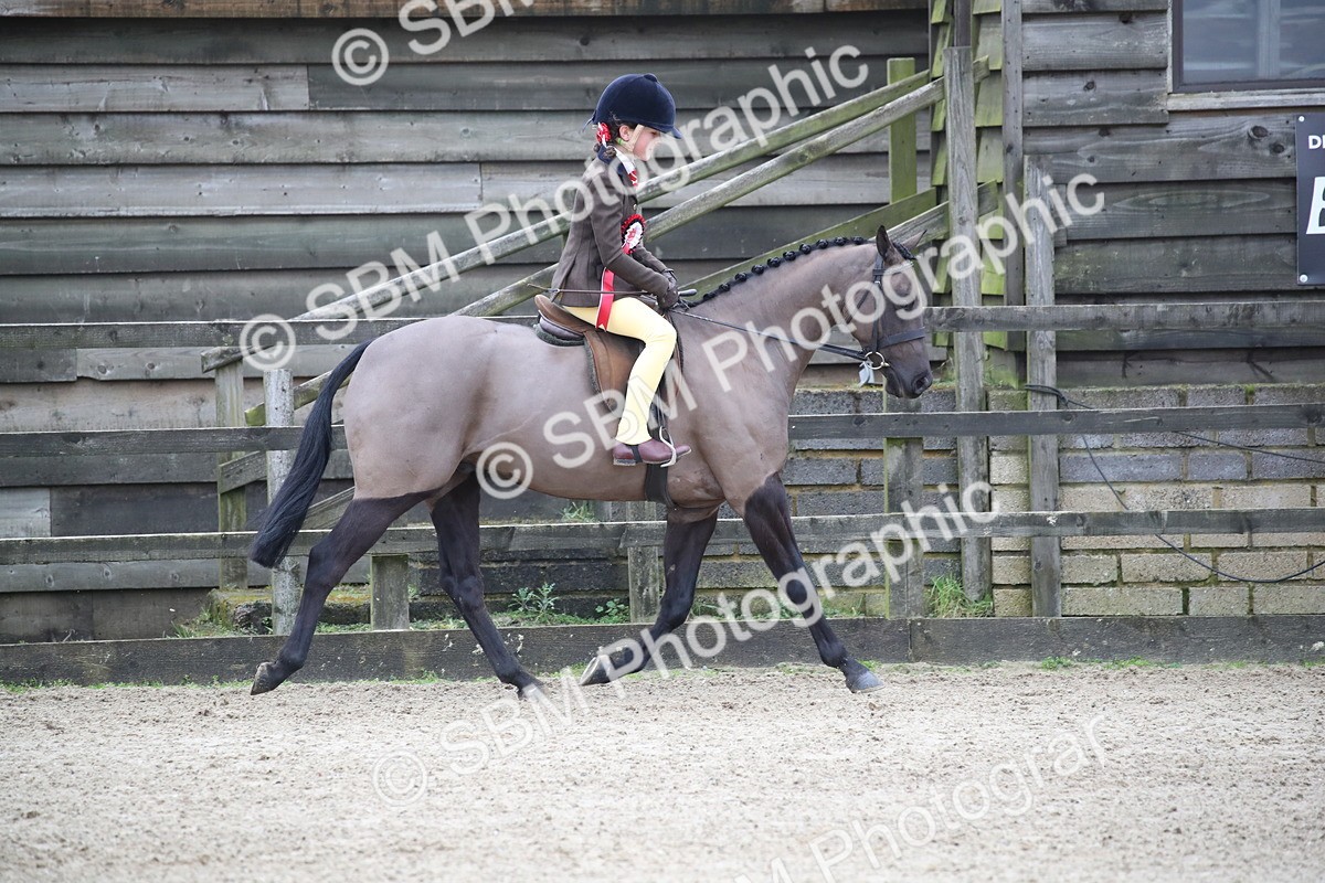 SBM_004631 - Class 5-9 - NPS In Hand-Show Hunter-Intermediate Ridden Inc Ridden Championship