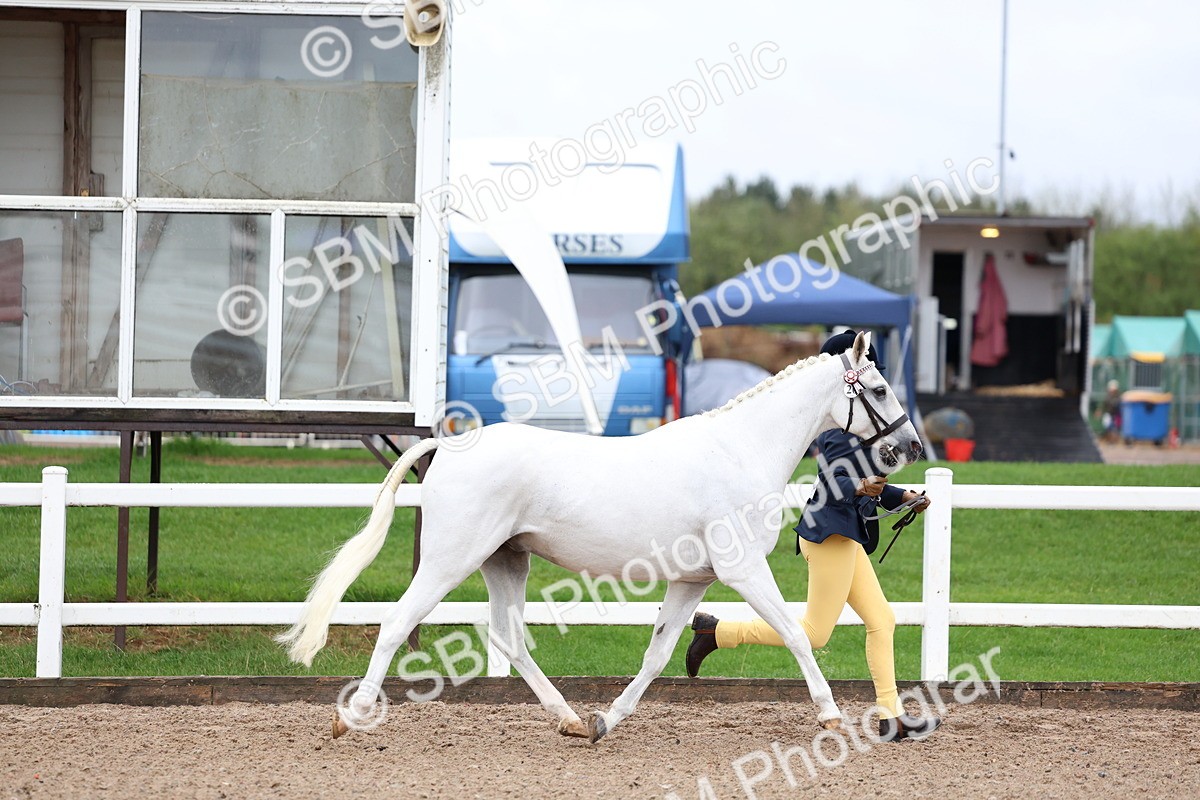 SBM_00240 - Class 13 - Young Handler