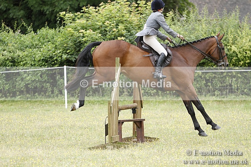 BVR160717-1701 - Ring 3 BVRC Show 16/07/17