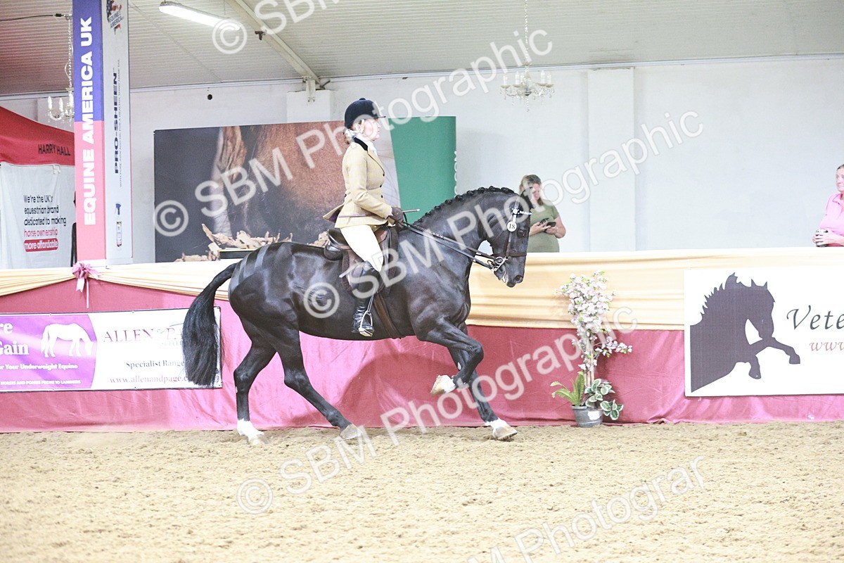 SBM_08833 - Class 12R - Regional Ridden Pre-Vet