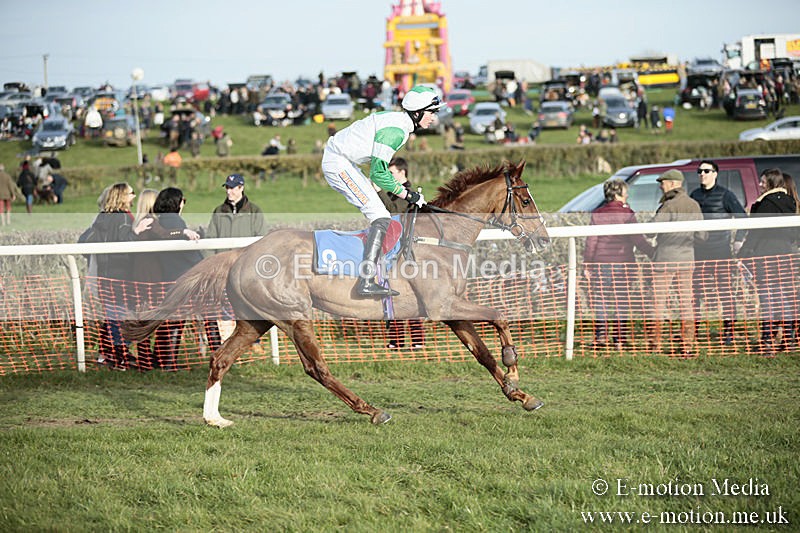 PtP 230319 518 - VWH Hunt Siddington Point-to-Point Racing 23/03/19