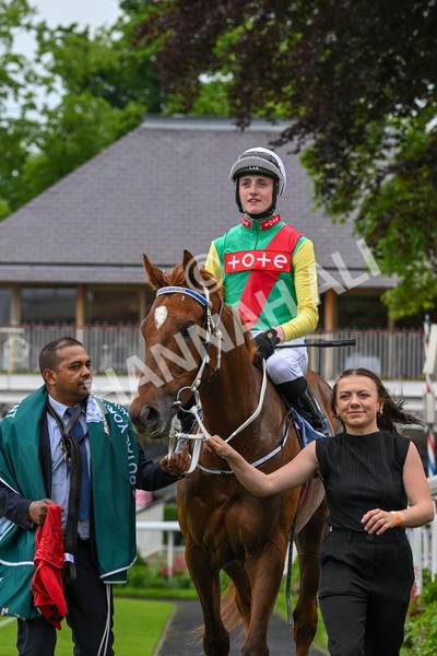 250524-Race 6-Primo Lara-4307 - Race 6 4.30pm Royal Yorkshire Regiment Handicap