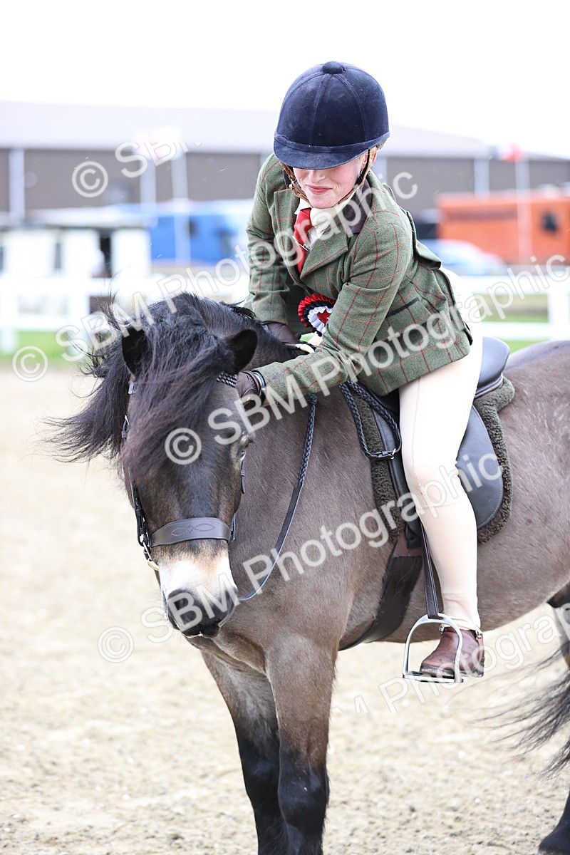 SBM_007480 - Class 31-32 - M&M Confined Novice Small-Large