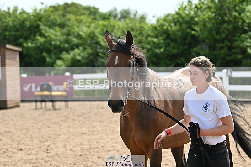 240717A-160307-03297 - Trot Up 4pm to 5pm