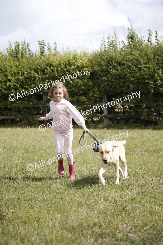 20250831-3757 - Dog Show