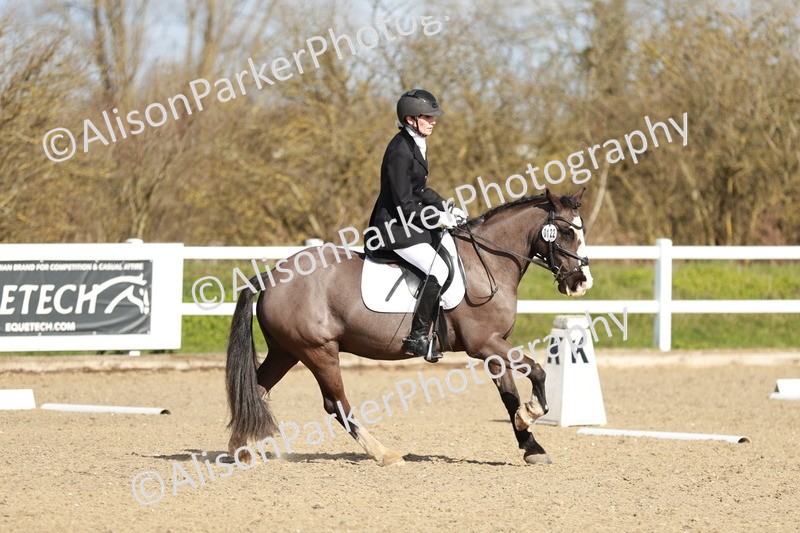 20260314-4355 - DR4 - Prelim 2