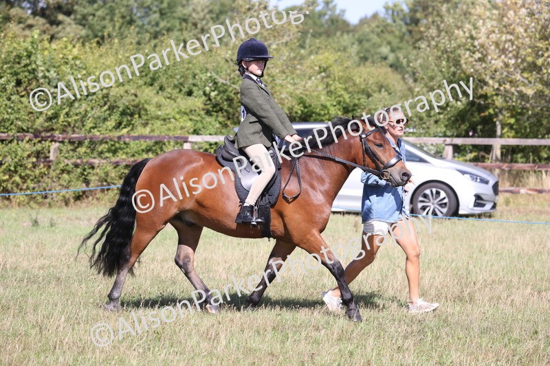 20260906-2351 - Class 16 - Family Pony