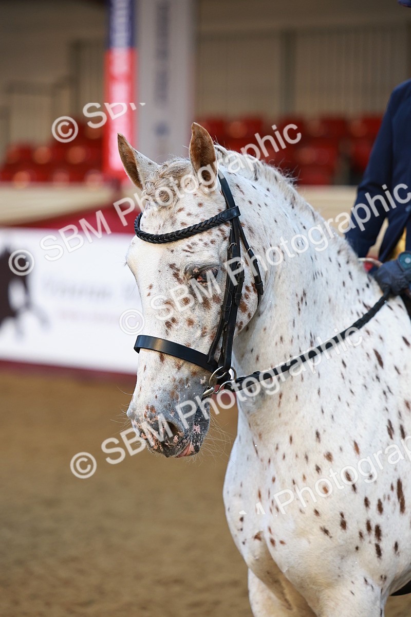 SBM_14607 - Class A - Junior Champ 10 year and Under