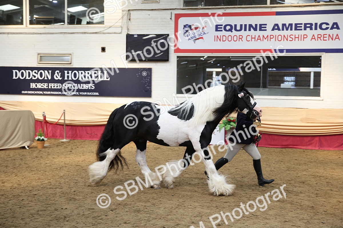 SBM_24279 - Class 905 - Supreme Final - Ridden Veteran