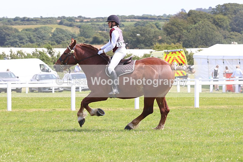 JPP_3523 - Class 15: Heavy Horse Ridden