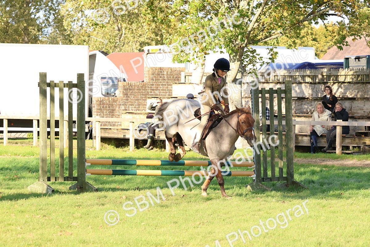 SBM_52644 - S13 - Pony Club Pony