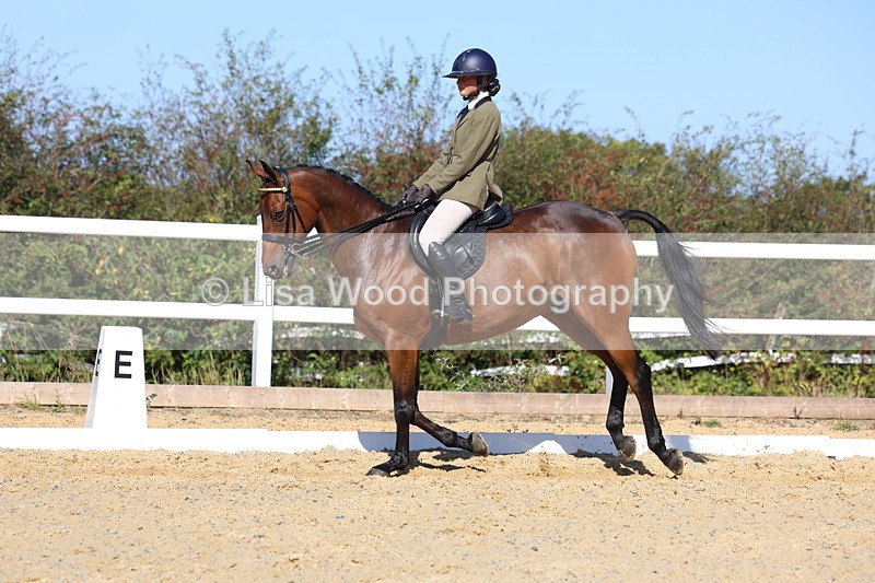 3E7A5736 - Class 10: Riding Horse