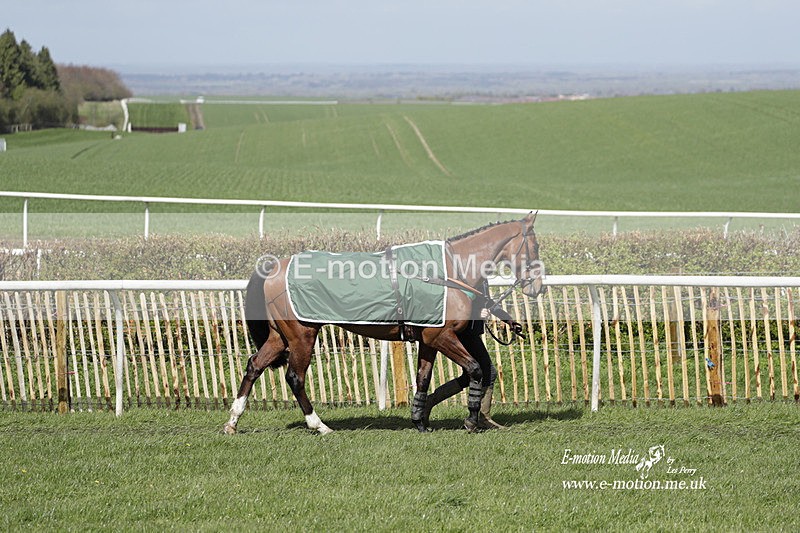 PtP 100423 458 - Old Berkshire Point-to-Point Lockinge 10/04/23