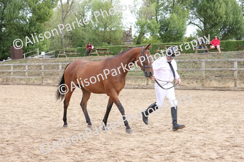 20260831-1964 - Class 5 - Retraining of Racehorses