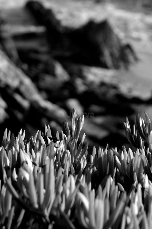 B_wo128 - B&W01