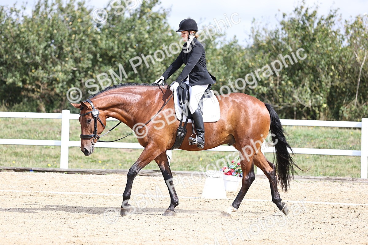 SBM_016168 - Class 14 - Novice 23 - 10.29-11.32