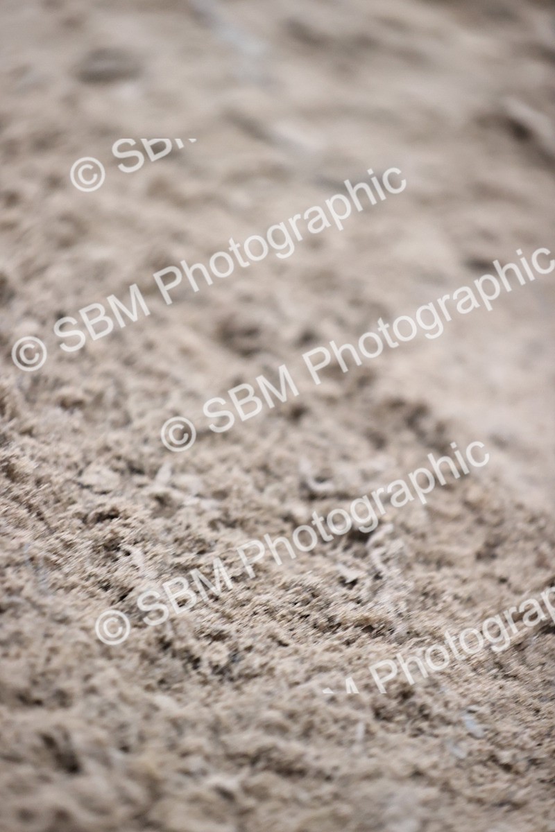 SBM_002708 - Class 12 - Springboard 128cm 138cm 90cm 1.00m