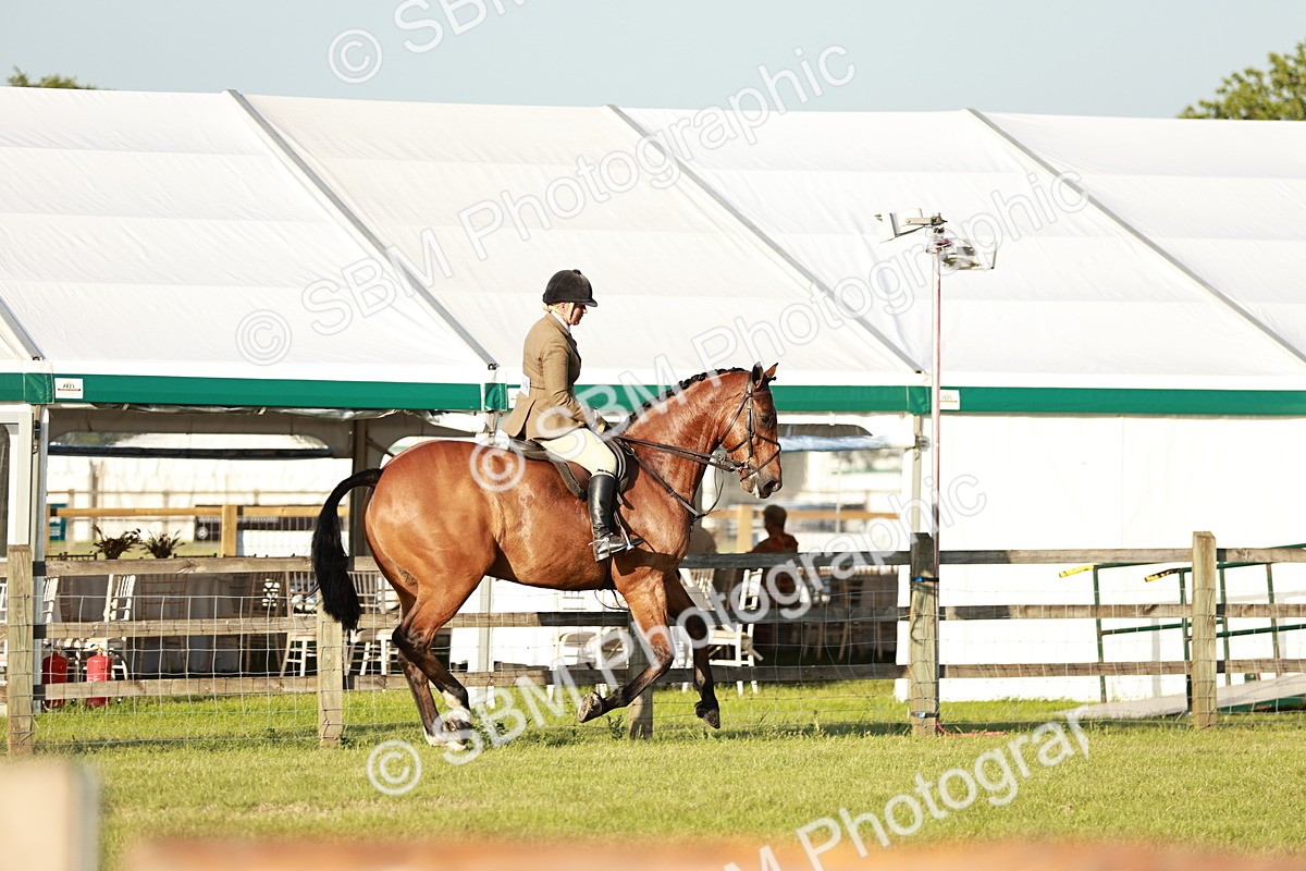SBM_20458 - Class 117-119 - Sport Horse Working Hunter