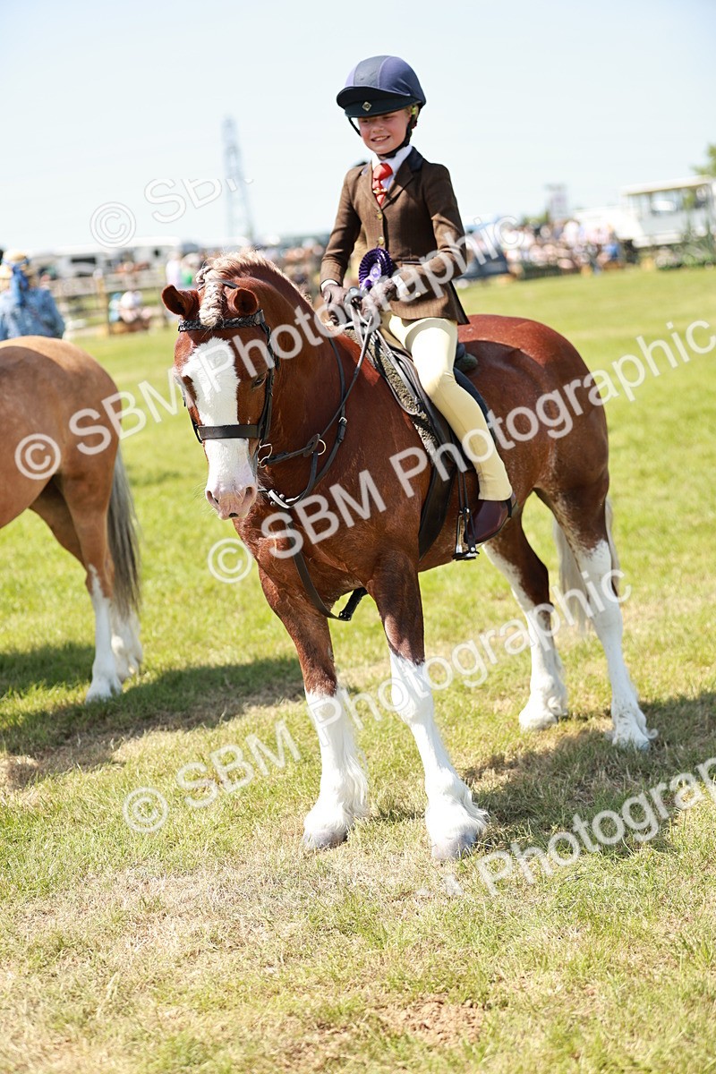 SBM_15731 - Class 108-109 - BSPS LIHS Open Gradle & Nursery Stakes