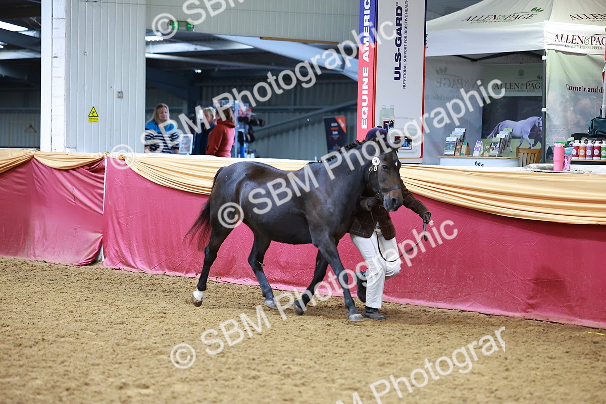 SBM_16130 - Class 901 - Sup Final - IH Diamond