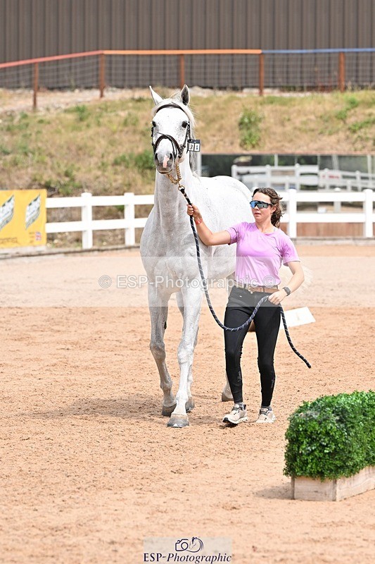 250716-142552-01084 - Trot Up 1.30 to 2.30