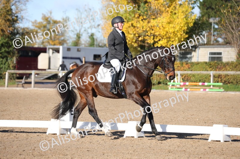 20251102-0500 - Class 3 - Novice 5