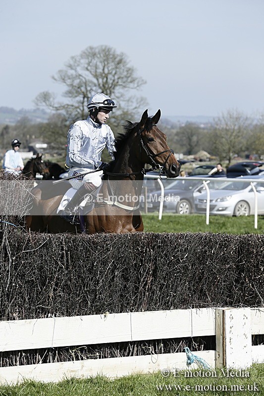 PtP 260317 40 - Mendip Farmers Point-to-Point Ston Easton 26/03/17