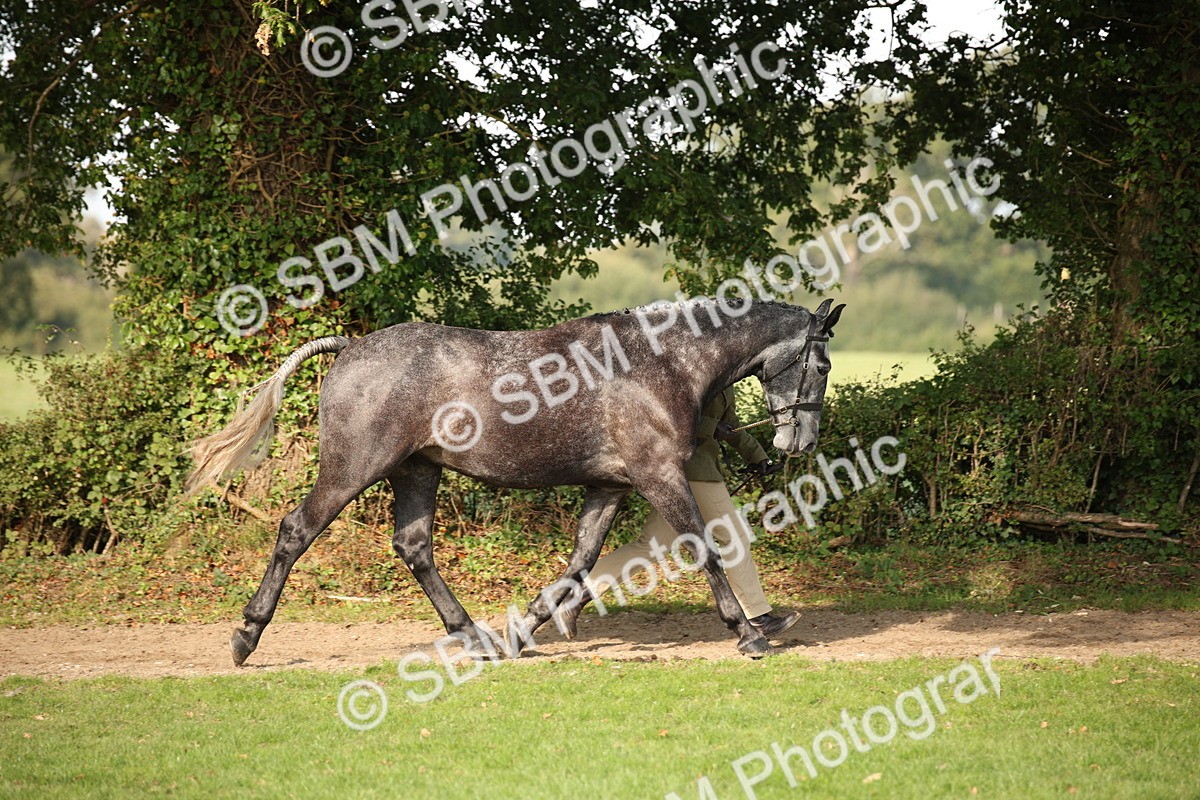 SBM_60058 - S53 - Hunter In Hand