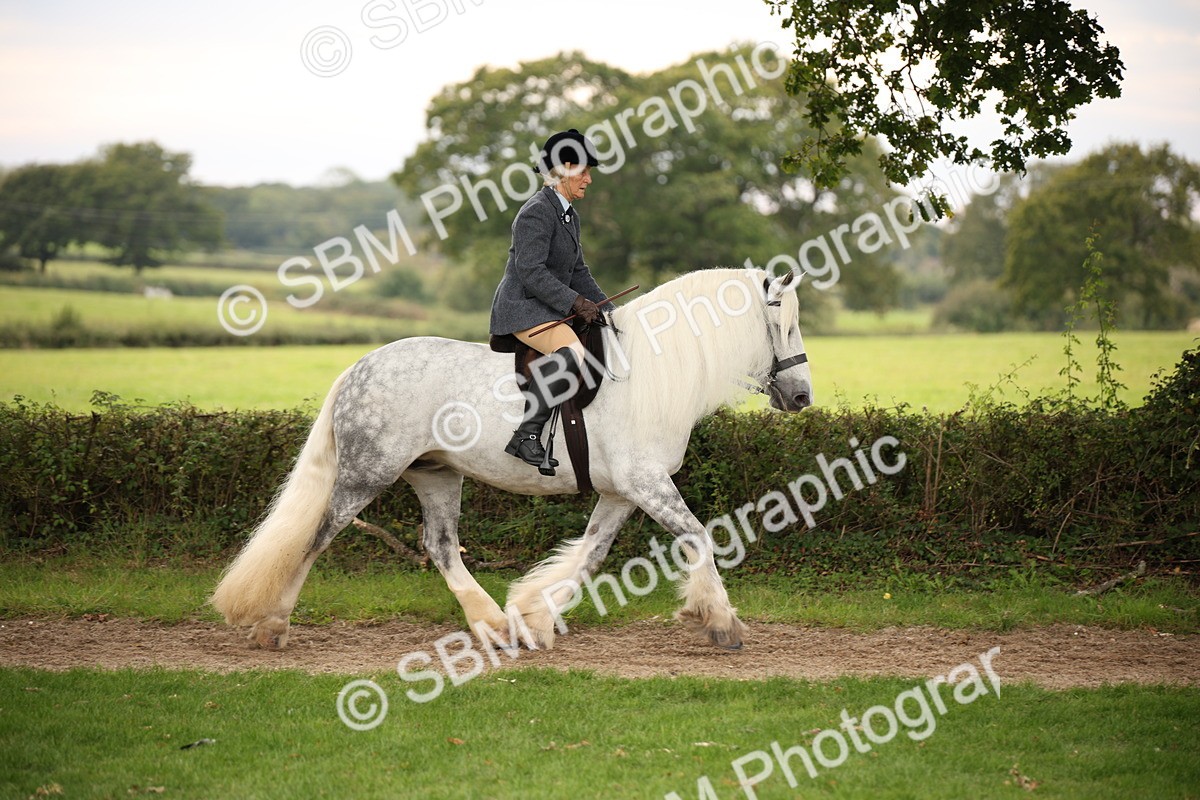 SBM_73419 - S68 - Traditional Cob Ridden
