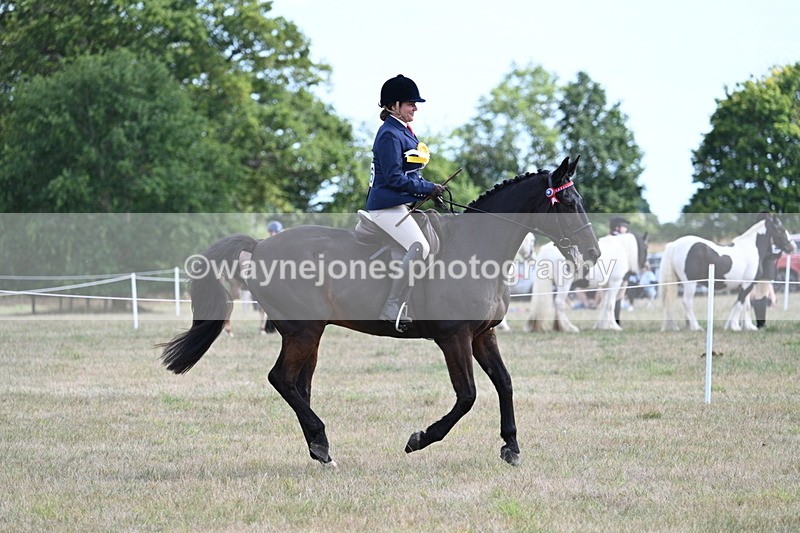 WJ7_6448 - Class 13 Ridden Veterans