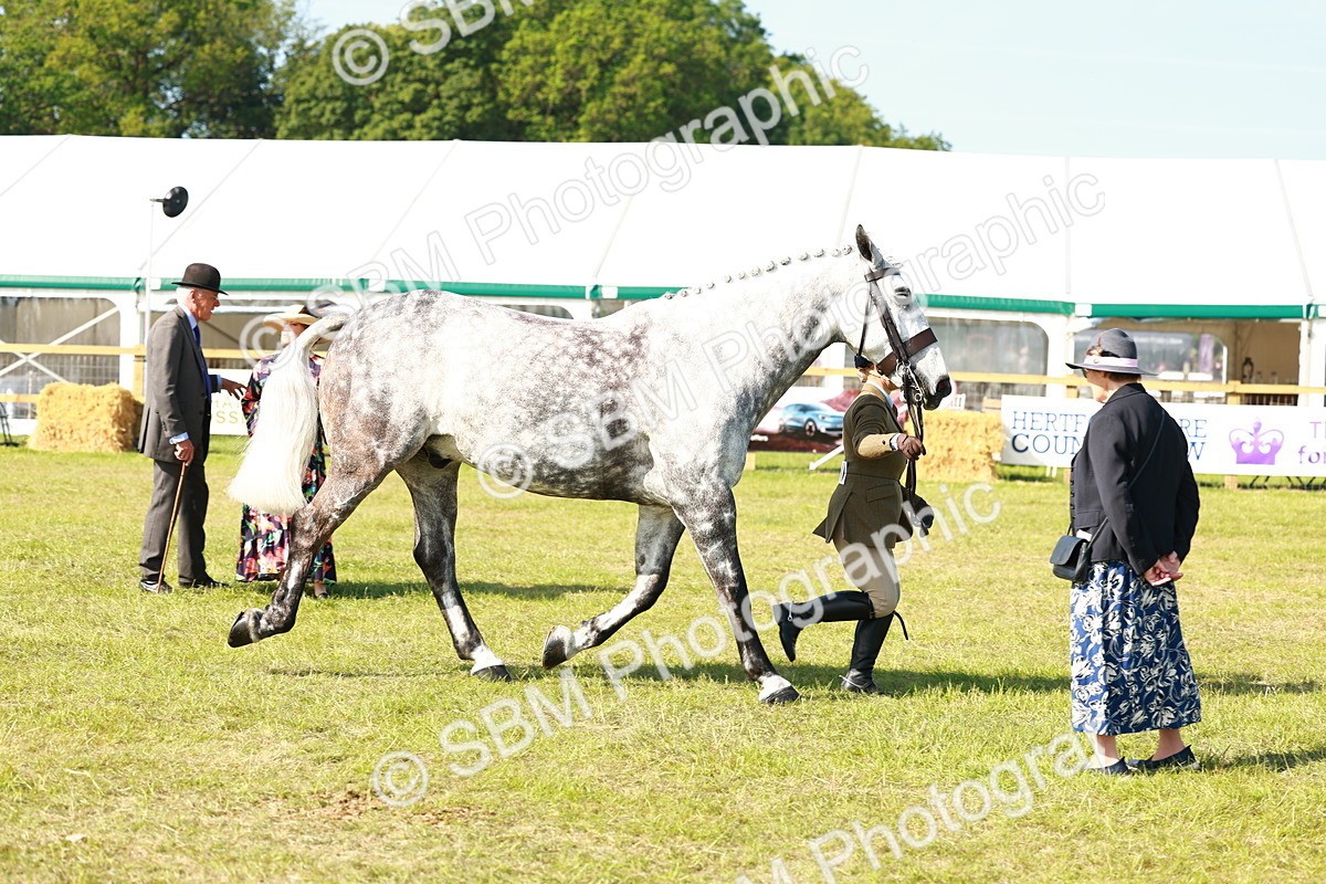 SBM_11818 - Class 66-69 - RIHS Ridden Hunters Inc Small Hunter