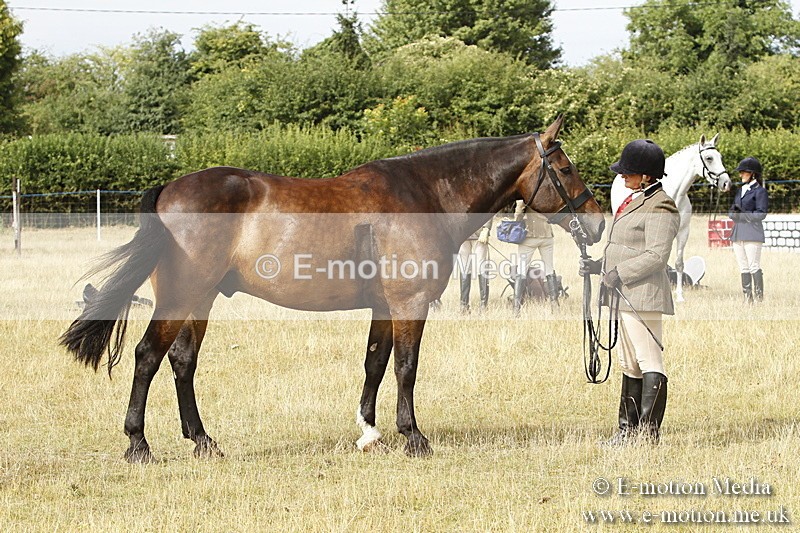 _BS_0514 - BVRC Show 2018 Ring 3